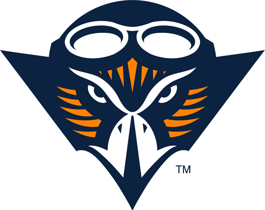 Tennessee-Martin Skyhawks 2021-Pres Primary Logo diy DTF decal sticker